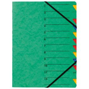 Pagna Ordnungsmappe A4 grün 12 Fächer